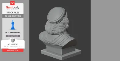 Blaise Pascal Bust - Historical Warrior STL
