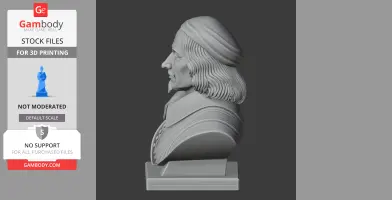 Blaise Pascal Bust - Historical Warrior STL
