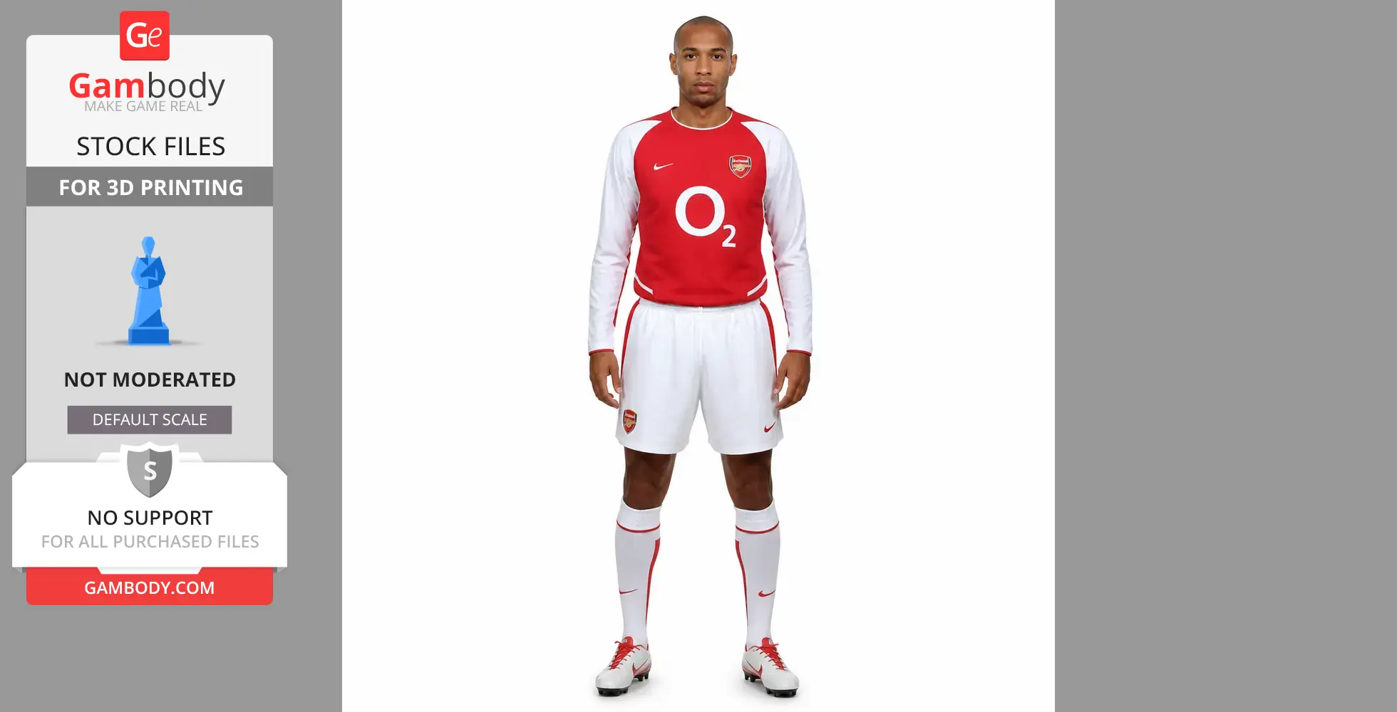 Thierry Henry Figurine - Religious Statue STL