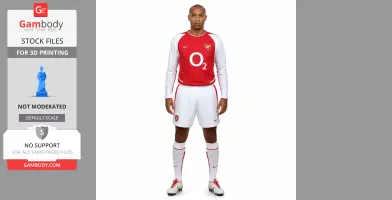 Thierry Henry Figurine - Religious Statue STL