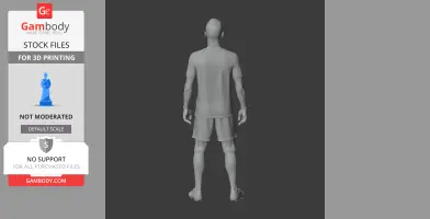 A 3D model of a male figure viewed from the back, wearing a sports outfit and shoes.