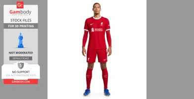 Virgil van Dijk Figurine - Religious Statue STL