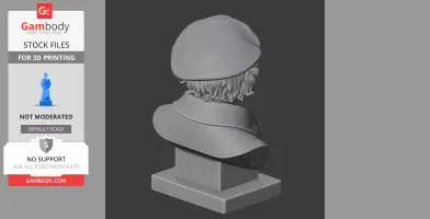 3D model of a historical warrior bust with a hat and cloak, designed for 3D printing.
