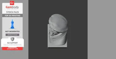 Top view of a warrior bust with a helmet and cloak on a rectangular base, designed for 3D printing.