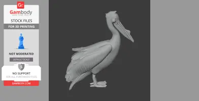 3D model of a great white pelican, detailed feathers and beak, for 3D printing.