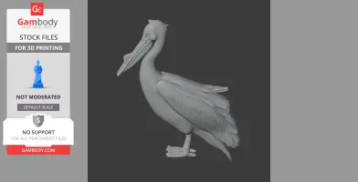 3D model of a Great White Pelican, detailed feathers and beak, for 3D printing.