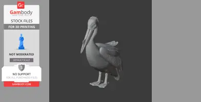 3D model of a Great White Pelican, detailed texture, standing pose, for 3D printing.