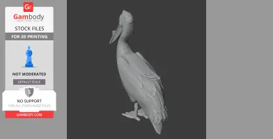 A 3D model of a Great White Pelican with detailed feathers and extended beak, seen in a side view.