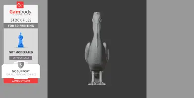 Front view of a 3D model of a Great White Pelican for 3D printing.