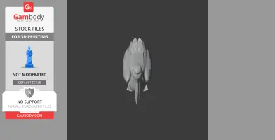 3D model of a great white pelican viewed from above, showcasing detailed wings and beak.
