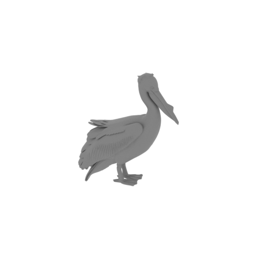 Great White Pelican.stl