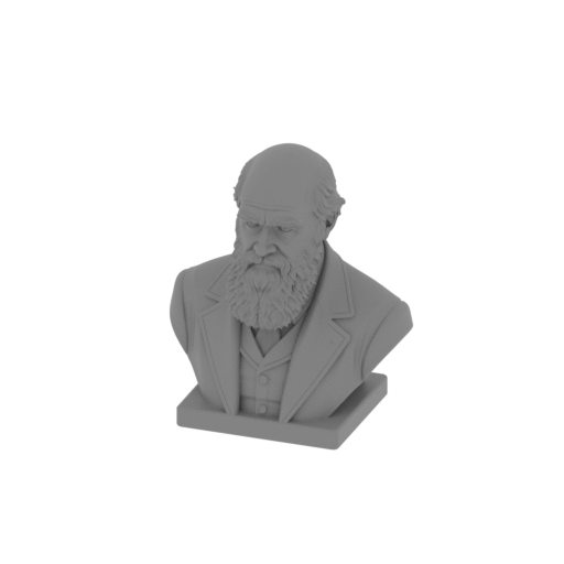 Charles Darwin Bust.stl