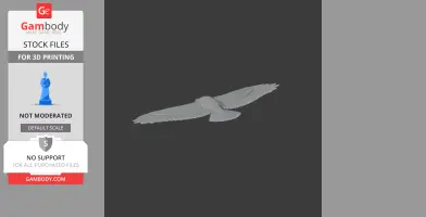 A 3D model of a Greater Spotted Eagle in-flight, designed for 3D printing.
