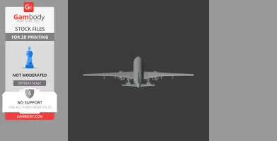 Front view of a 3D model of an Airbus A350 airplane, designed for 3D printing.