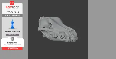 3D model of an Arctic wolf skull, detailed for 3D printing.