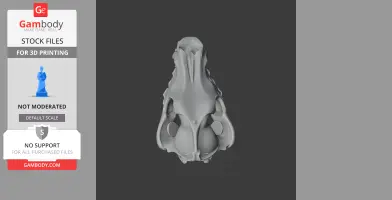 3D model of an arctic wolf skull viewed from above, designed for 3D printing.