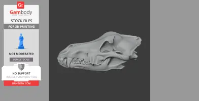 3D model of an Arctic wolf skull, side view, showing detailed teeth and bone structure.