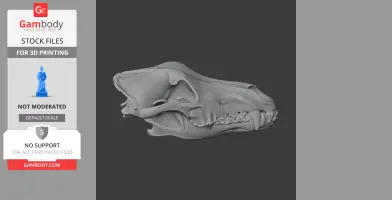 3D model of an Arctic wolf skull replica shown from the side for 3D printing.
