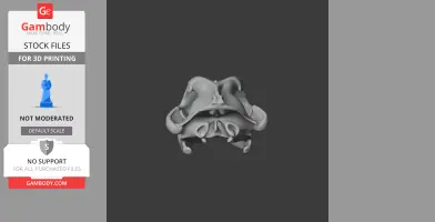 3D model of an arctic wolf skull, detailed and positioned for 3D printing.