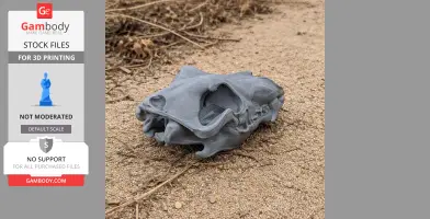 3D-printed Arctic wolf skull replica, placed on sandy ground.