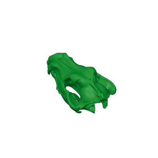 Arctic Wolf Skull.3mf