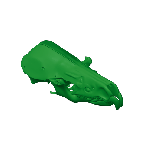 Armored Shrew Skull.3mf