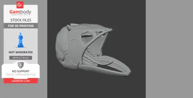 3D model of an Asian Arowana skull replica with open jaws, designed for 3D printing.