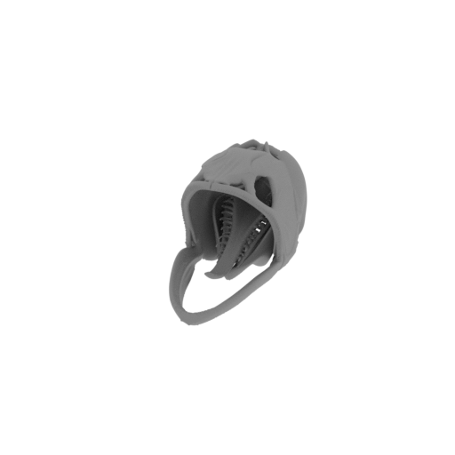 Asian Arowana Skull.stl