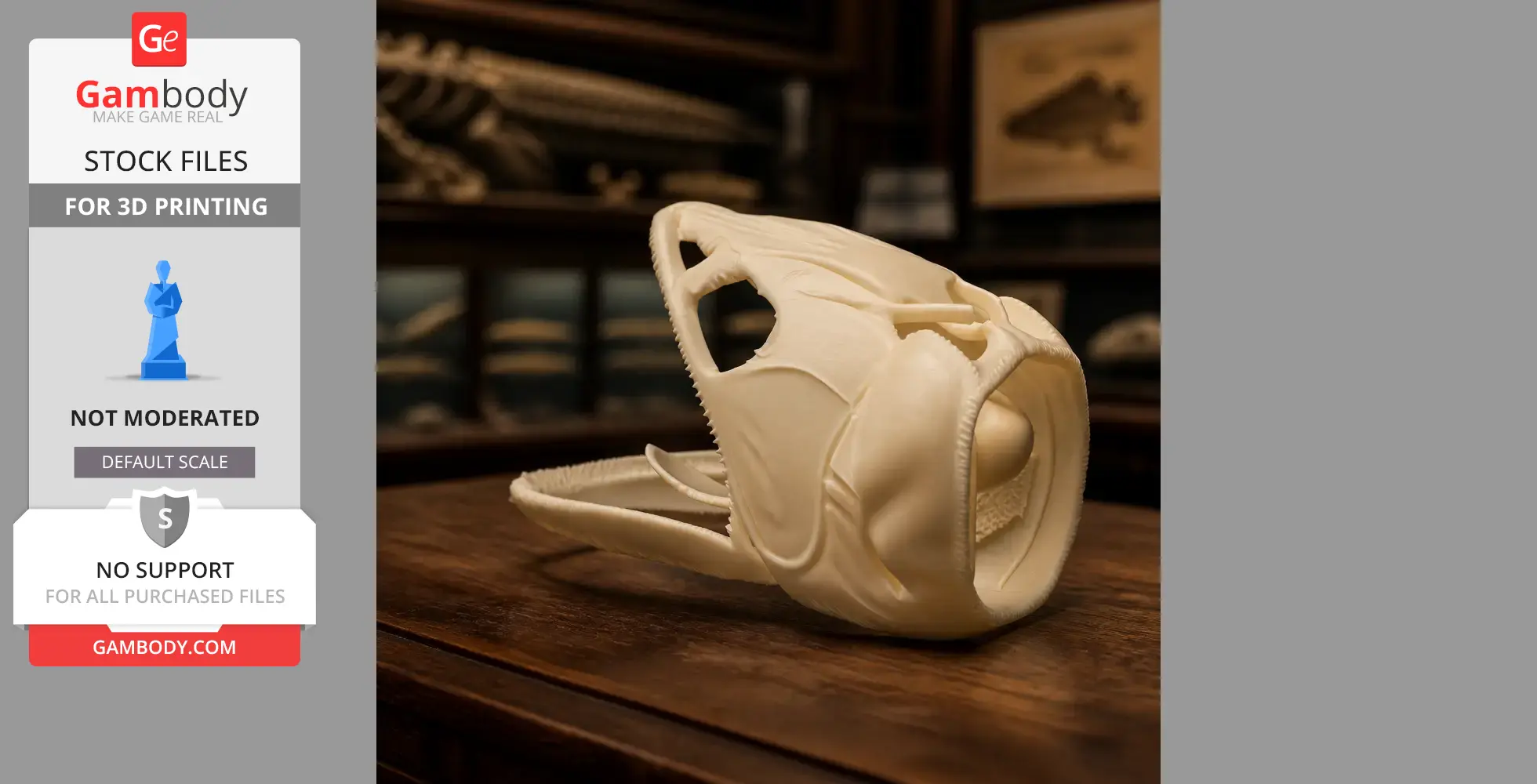 3D-printed Asian Arowana skull replica on a wooden table, with detailed skeletal features.
