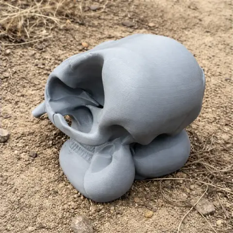 3D printed Asian elephant skull replica on a sandy surface.