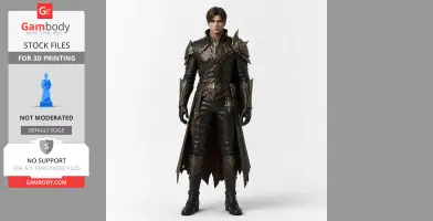 Adventurer - Lost Ark Figurine - Character Figure STL