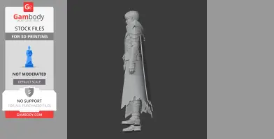 Adventurer - Lost Ark Figurine - Character Figure STL