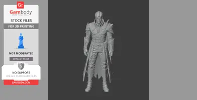 Adventurer - Lost Ark Figurine - Character Figure STL