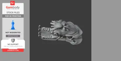 3D model of an intricately detailed Atlantic Marlin skull, designed for 3D printing.