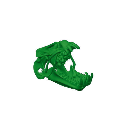 Atlantic Marlin Skull.3mf