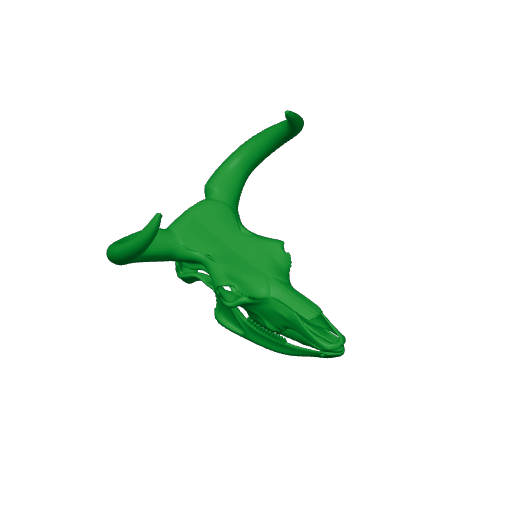 Aurochs Skull.3mf