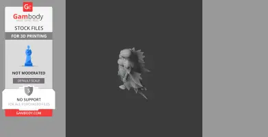 3D model of an Aeromancer character from Lost Ark, detailed and ready for 3D printing.