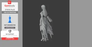 3D model of Aeromancer character from Lost Ark, featuring a detailed outfit and long braided hair.