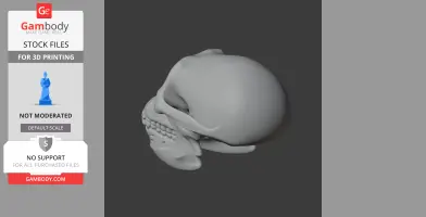 Australopithecus Skull - Skull Replica STL