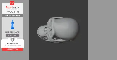 Australopithecus Skull - Skull Replica STL