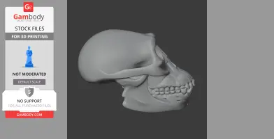 Australopithecus Skull - Skull Replica STL