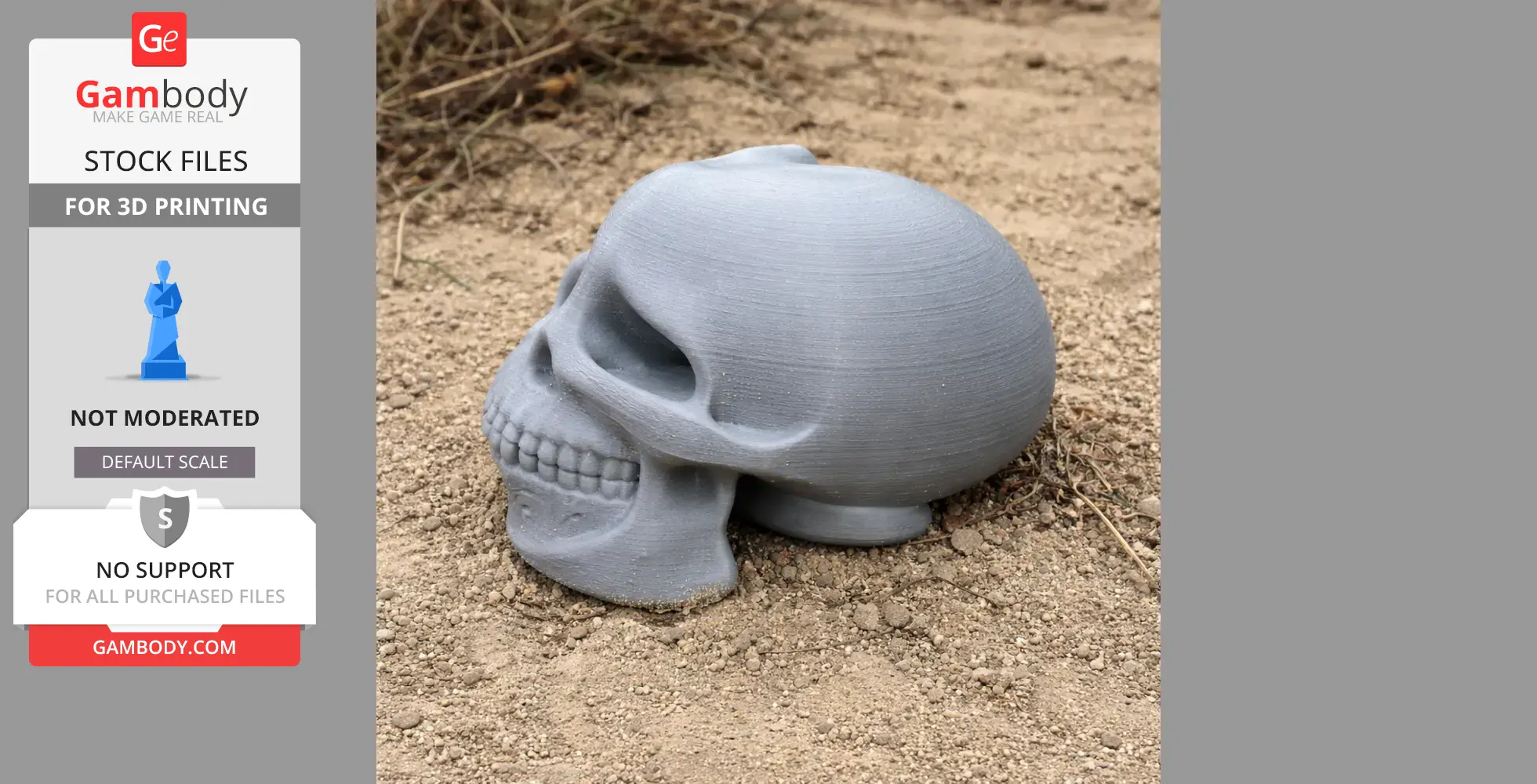 Australopithecus Skull - Skull Replica STL