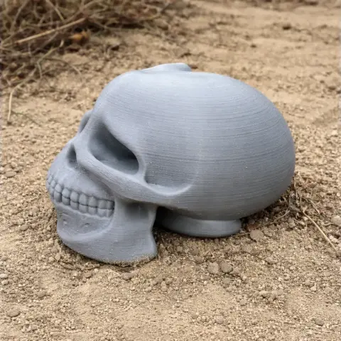 3D-printed Australopithecus skull replica, gray, displayed on sandy ground.