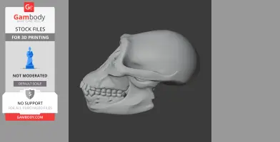Australopithecus Skull - Skull Replica STL