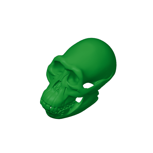 Australopithecus Skull.3mf