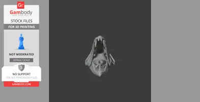Barracuda Skull - Skull Replica STL
