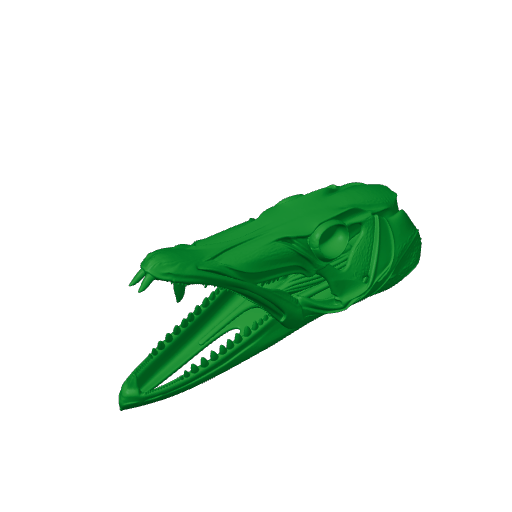 Barracuda Skull.3mf