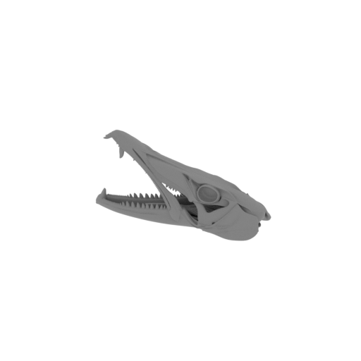 Barracuda Skull.stl