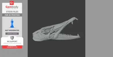 Barracuda Skull - Skull Replica STL