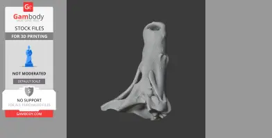 Baru (fossil crocodilian) Skull - Skull Replica STL